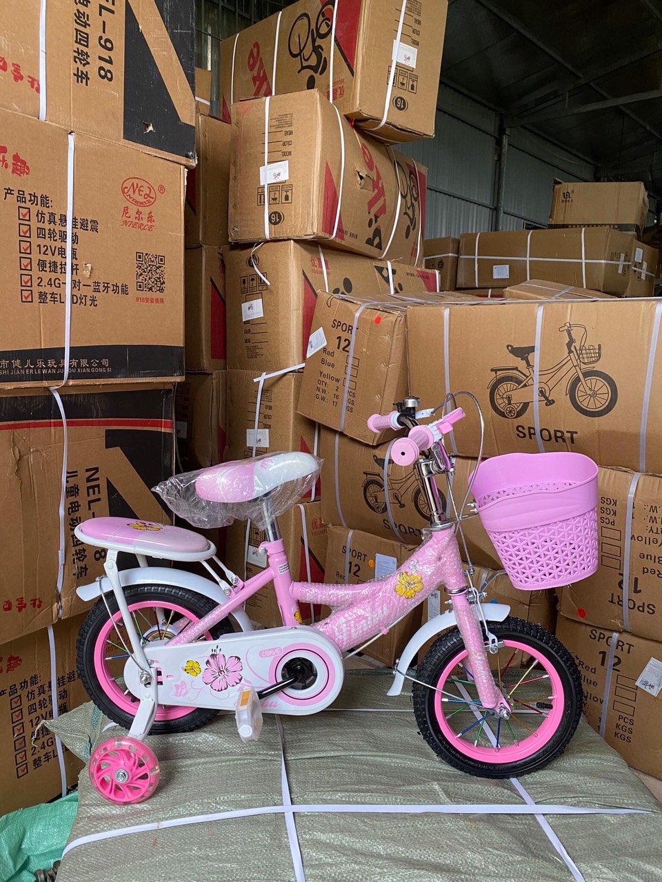 z4204663040666_f24a5269ad381c89edde689ece486164-1